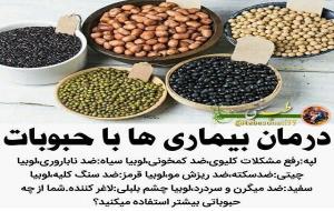 طب سنتی: درمان کم خونی و تقویت باروری و لاغری