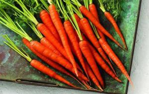 فواید هویج برای سلامتی/ تقویت ایمنی بدن و کاهش کلسترول خون