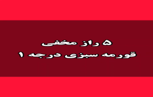 ترفند آشپزی: ۵ راز خوشمزه شدن قورمه سبزی