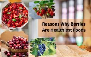 چرا توت ها سالم ترین  میوه هستند؟ کنترل قندخون و کم کالری