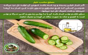 مصلح مناسب خیار :روغن زیتون و سرکه