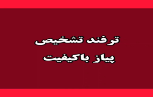 کلیپ:‌ترفند تشخیص پیاز مرغوب