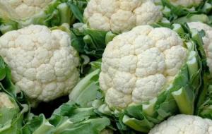 سبزیجات کم کربوهیدراتیک/ سیر و پیاز