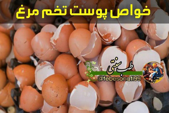 خواص پوست تخم مرغ برای بدن/ رشد مو و استحکام استخوان