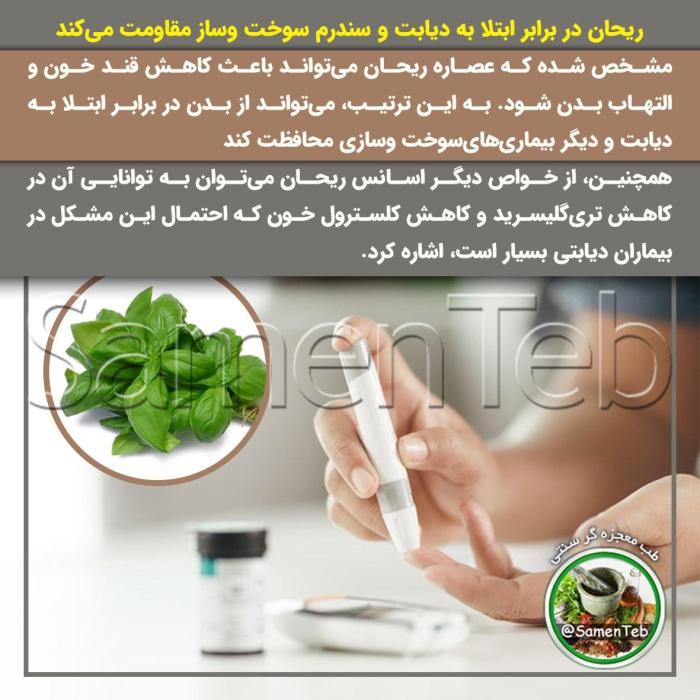 خواص ریحان برای سلامتی: کاهش کلسترول خون و کاهش دیابت