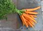 فواید هویج برای سلامتی/ کنترل قند خون و پوکی استخوان