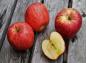 آیا سیب کلسترول خون را کاهش می دهد؟